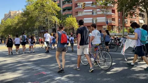Environmentalist protest climate change global warming ccovid 19  protesters Stock Footage 162813717