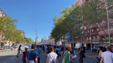Environmentalist protest climate change global warming ccovid 19  protesters Stock Footage 162813782