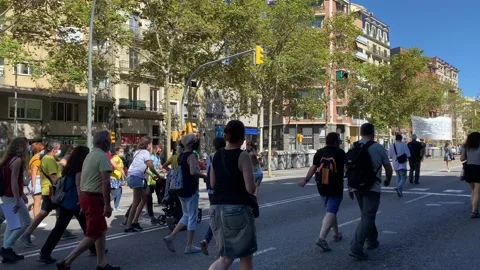 Environmentalist protest climate change global warming ccovid 19  protesters Stock Footage 162813812