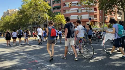 Environmentalist protest climate change global warming ccovid 19  protesters Stock Footage 162813817