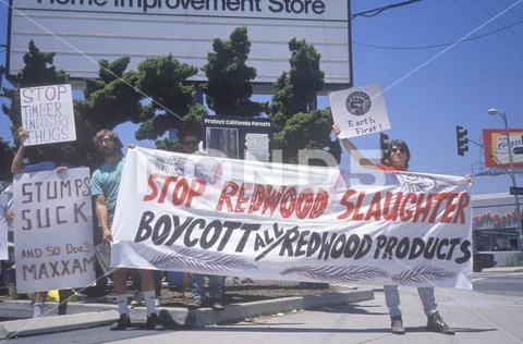 Environmentalists protesting against lumber industry Stock Photos
