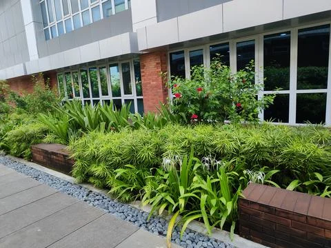 Environmentally friendly design for campus or office areas Stock-Fotos