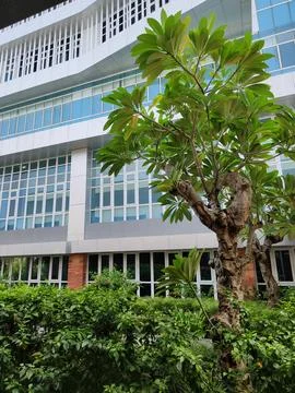 Environmentally friendly design for campus or office areas Stock Photos