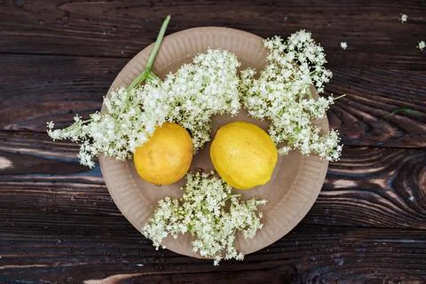 Environmentally friendly drink. Ingredients for a refreshing drink of elderberry Stock Photos