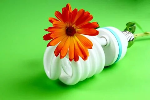 Environmentally friendly Stock Illustration