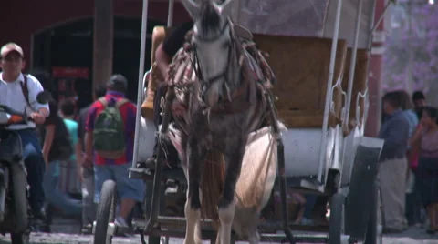 Environmentally friendly transport in third world countries Stock Footage 45603585