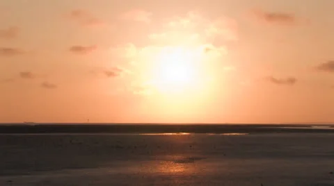 Envivo 0068 Stock Footage 26131174