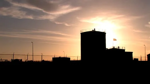 Envivo 0071 Stock Footage 26134078