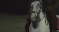 Envoy on a beautiful thoroughbred white horse riding on street , Middle Ages HD Footage