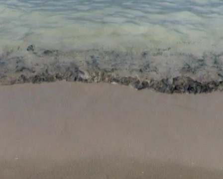 Envrionment Vídeo Stock 88110