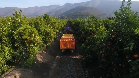 Enzo Giusti Stock Footage 139514901