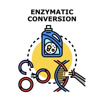 Enzymatic conversion process for biotechnology and molecular biology Stock Illustration