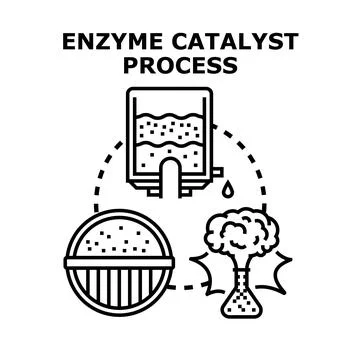 Enzyme catalyst process accelerating biochemical reactions Stock Illustration