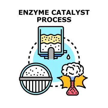 Enzyme catalyst process accelerating biochemical reactions Stock Illustration