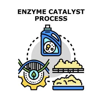 Enzyme catalyst process molecule transformation illustration Ilustración de archivo