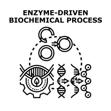 Enzyme driven biochemical process vector concept Stock Illustration