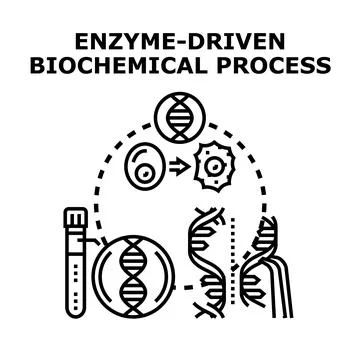 Enzyme driven biochemical process vector concept Stock Illustration