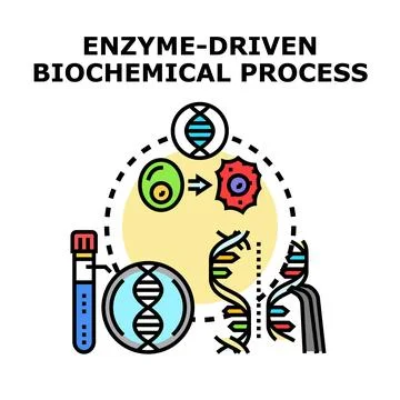 Enzyme driven biochemical process vector concept イラスト素材