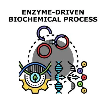 Enzyme driven biochemical process vector concept Stock Illustration
