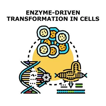 Enzyme driven transformation process in cellular biotechnology Stock Illustration