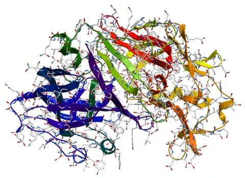 Enzyme pepsin 3D model Stock Illustration