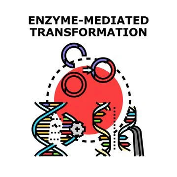 Enzyme transforming genetic material creating biological modification Stock Illustration
