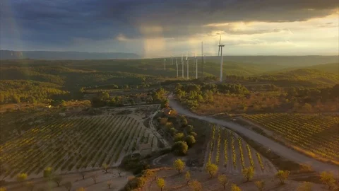 Eolic Park on Vineyard Fields at Sunset with Rainy Storm on Background, 4k Stock Footage 116046662