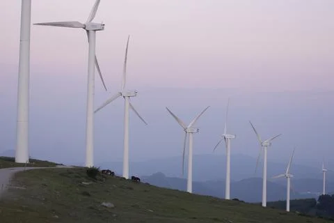 Eolic wind generators spinning in the mountains at sunset Stock Photos
