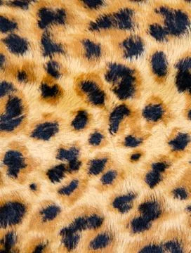 Eopard Seamless Pattern. Stock Photos