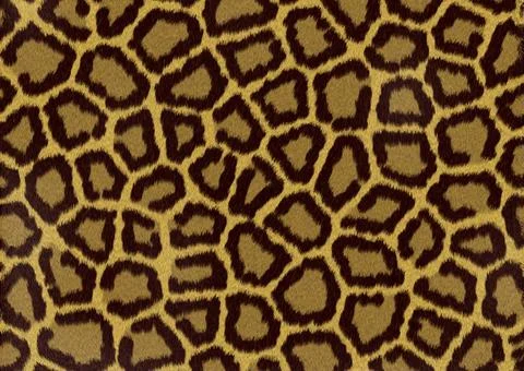Eopard texture background Abstract raster leopard texture background Copyr... Stock Photos