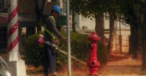 EPA Cleaner Blowing Leaf Under Glowing Summer Sunlight Stock Footage 230915194