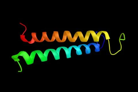 EPH receptor A1, a protein implicated in mediating developmental events, pa.. Illustration