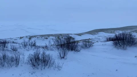 Epha dune on The Curonian spit Stock Footage 149717332