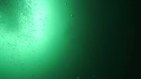 Ephemeral secrets bubbles dance in a Yucatan Cenote Video stock 312079094