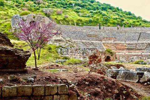Ephesus, Turkey: Ephesus Great Theatre amphitheater Stock Photos