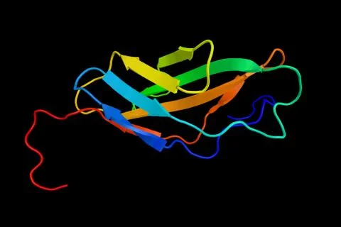Ephrin type-B receptor 1, a receptor for ephrin-B family members. 3d renderin Illustration