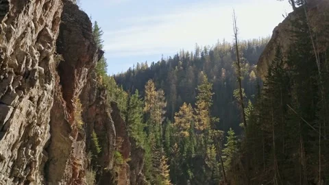 Epic aerial close flight between mountain cliffs with pine woods Stock Footage 156860879