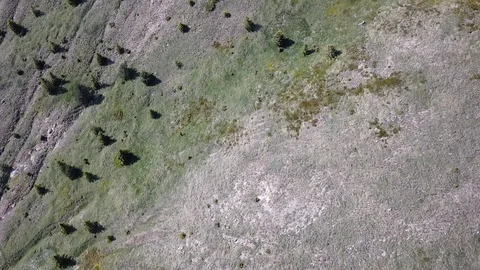 Epic Aerial Drone Panoramic Flight Wild Serbian Mountains Kopaonik Landscape Stock Footage 91448246