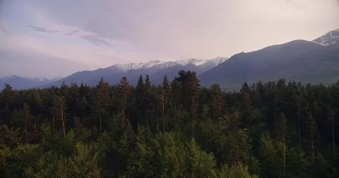 Epic Aerial Flight Over Mist Forrest Sunset Beautiful Fall Season Forrest Stock Footage 82778348
