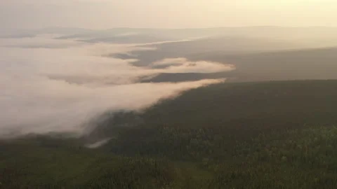 Epic Aerial Flight Over Mist Forrest Mountains at Sunrise Summer Trees Stock Footage 203805387