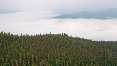 Epic Aerial Flight Over Mist Forrest Mountains at Sunrise Summer Trees Stock Footage 203805403