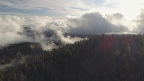 Epic aerial shot over forest with low clouds and fog, very mystical landscape. Stock Footage