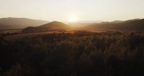 Epic aerial view: Mist Forrest Sunset Colorful Autumn Trees Golden Hour Sunset 動画素材 94599765