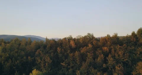 Epic aerial view: Mist Forrest Sunset Colorful Autumn Trees Golden Hour Sunset Stockbeeldmateriaal 94600717