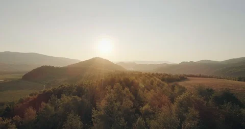 Epic aerial view: Mist Forrest Sunset Colorful Autumn Trees Golden Hour Sunset Stock-Footage 94601426