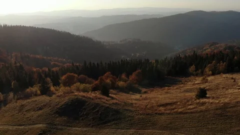 Epic aerial view of mixed spruce and deciduous green and orange autumn forest Stock Footage 120423469