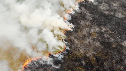 Epic aerial view of smoking wild fire. Large smoke clouds and fire spread Stock Footage