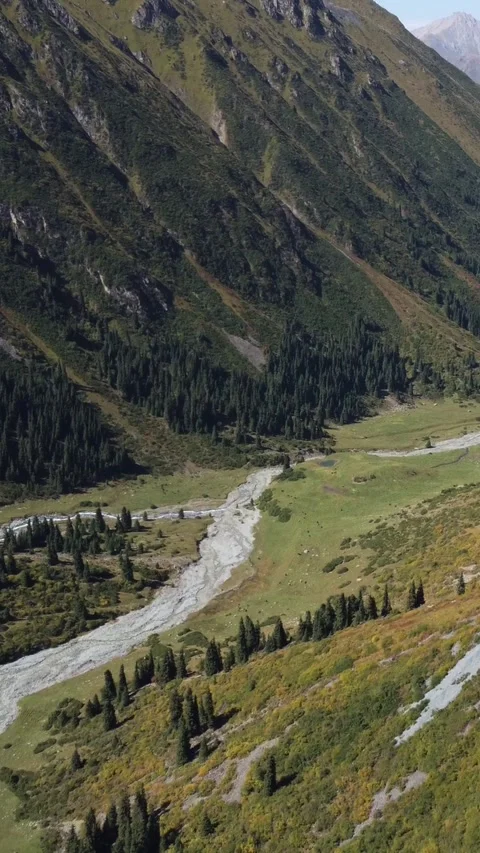 Epic aerial view of snow-capped Tian Shan peaks and winding river in valley Stock Footage 336688688