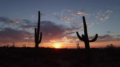 Epic Arizona Desert Sunset Time-Lapse With Saguaro Cactus Stock Footage 331817889