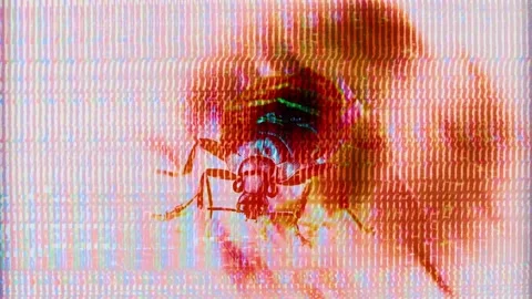 Epic bedbug macro glitch, bed bug plague europe, Cimex lectularius Video stock 254788166